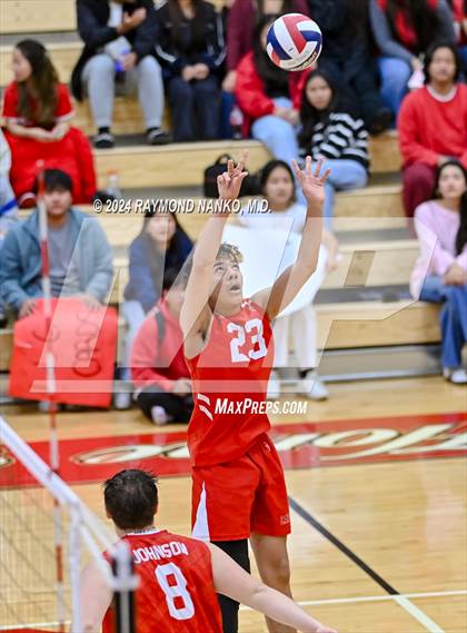 Thumbnail 2 in Roncalli @ Southport photogallery.