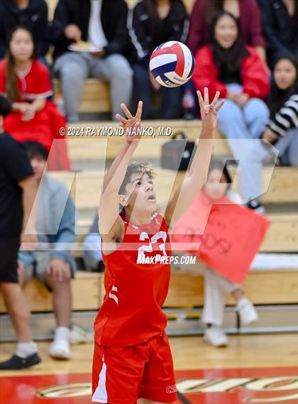 Thumbnail 1 in Roncalli @ Southport photogallery.