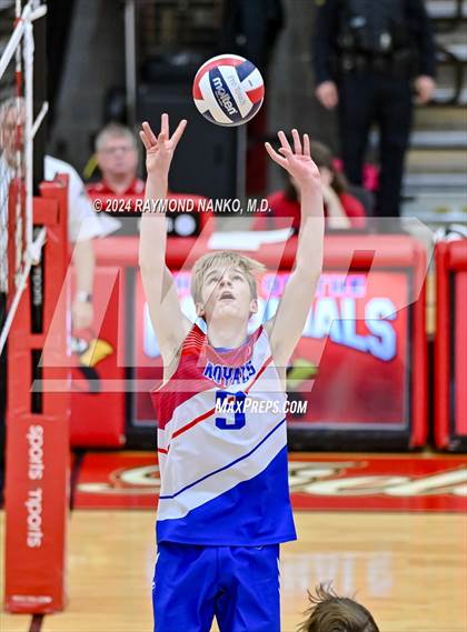 Thumbnail 2 in Roncalli @ Southport photogallery.