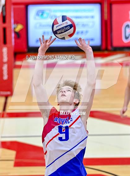 Thumbnail 2 in Roncalli @ Southport photogallery.