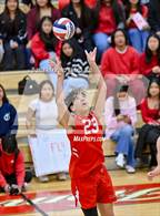 Photo from the gallery "Roncalli @ Southport"