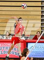 Photo from the gallery "Roncalli @ Southport"