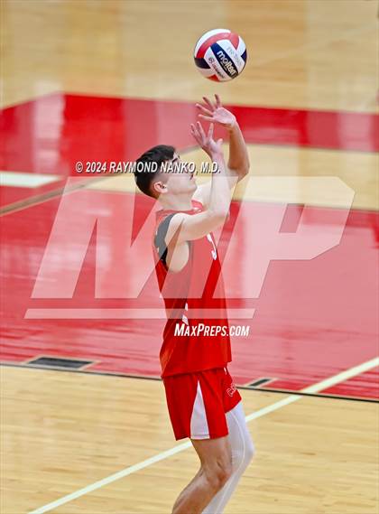 Thumbnail 1 in Roncalli @ Southport photogallery.
