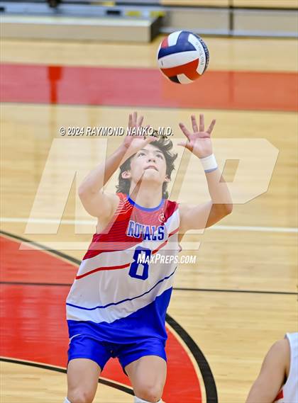 Thumbnail 2 in Roncalli @ Southport photogallery.