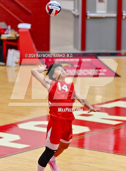 Thumbnail 1 in Roncalli @ Southport photogallery.