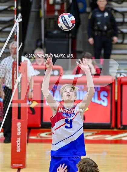 Thumbnail 3 in Roncalli @ Southport photogallery.