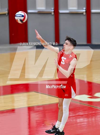 Thumbnail 2 in Roncalli @ Southport photogallery.