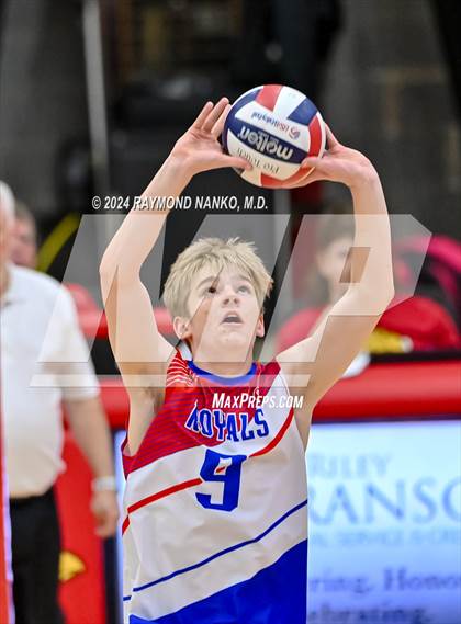 Thumbnail 2 in Roncalli @ Southport photogallery.
