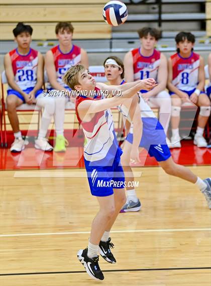 Thumbnail 3 in Roncalli @ Southport photogallery.