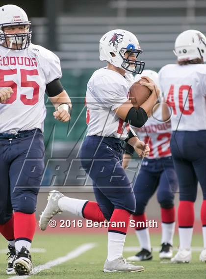 Thumbnail 3 in Iroquois @ Bennett/Olmsted/Middle Early College/East photogallery.
