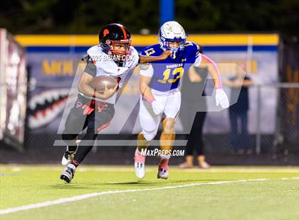 Thumbnail 3 in Russellville @ Mountain Home photogallery.