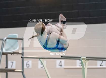 Thumbnail 3 in 1 meter Diving Final (IHSAA Noblesville Sectional 9) photogallery.