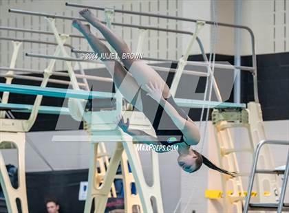 Thumbnail 1 in 1 meter Diving Final (IHSAA Noblesville Sectional 9) photogallery.