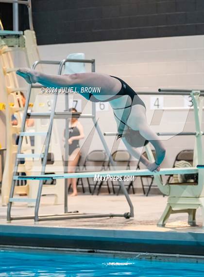 Thumbnail 1 in 1 meter Diving Final (IHSAA Noblesville Sectional 9) photogallery.