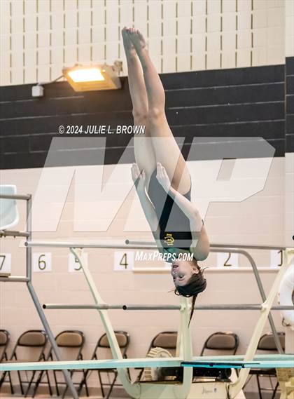 Thumbnail 2 in 1 meter Diving Final (IHSAA Noblesville Sectional 9) photogallery.