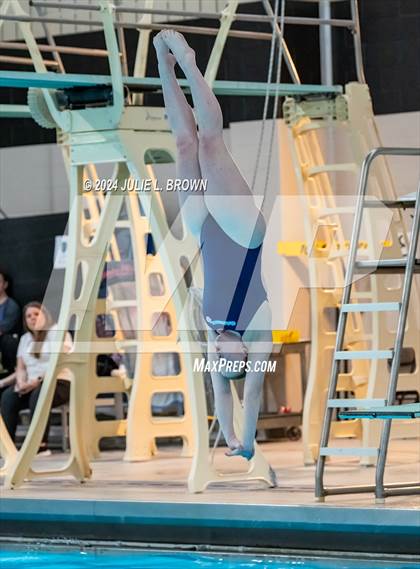 Thumbnail 2 in 1 meter Diving Final (IHSAA Noblesville Sectional 9) photogallery.