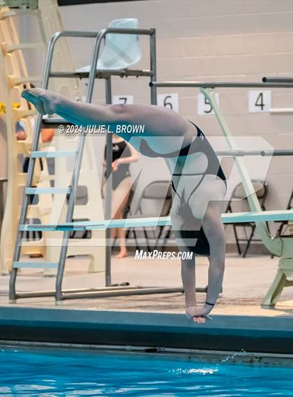 Thumbnail 2 in 1 meter Diving Final (IHSAA Noblesville Sectional 9) photogallery.