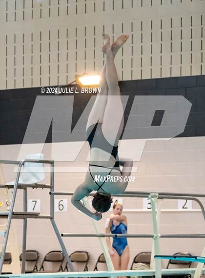 Thumbnail 2 in 1 meter Diving Final (IHSAA Noblesville Sectional 9) photogallery.