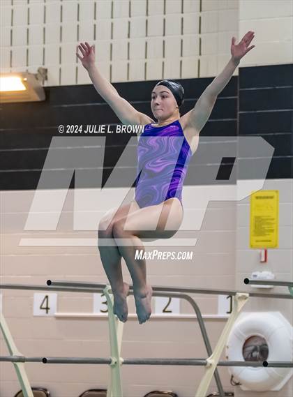Thumbnail 2 in 1 meter Diving Final (IHSAA Noblesville Sectional 9) photogallery.