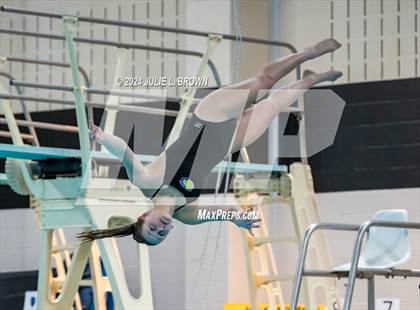 Thumbnail 3 in 1 meter Diving Final (IHSAA Noblesville Sectional 9) photogallery.