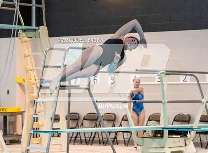 Thumbnail 3 in 1 meter Diving Final (IHSAA Noblesville Sectional 9) photogallery.