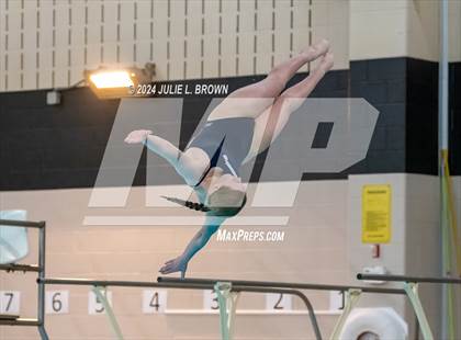 Thumbnail 1 in 1 meter Diving Final (IHSAA Noblesville Sectional 9) photogallery.