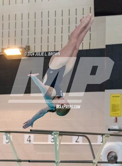 Thumbnail 2 in 1 meter Diving Final (IHSAA Noblesville Sectional 9) photogallery.