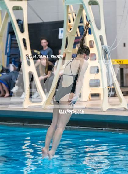 Thumbnail 3 in 1 meter Diving Final (IHSAA Noblesville Sectional 9) photogallery.