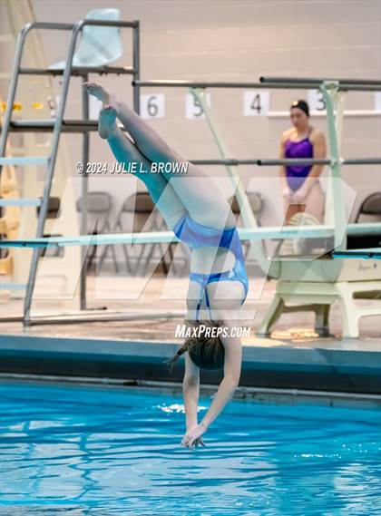 Thumbnail 1 in 1 meter Diving Final (IHSAA Noblesville Sectional 9) photogallery.