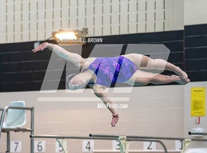 Thumbnail 2 in 1 meter Diving Final (IHSAA Noblesville Sectional 9) photogallery.