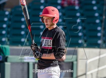 Thumbnail 3 in Payson @ Page (Salt River Fields) photogallery.