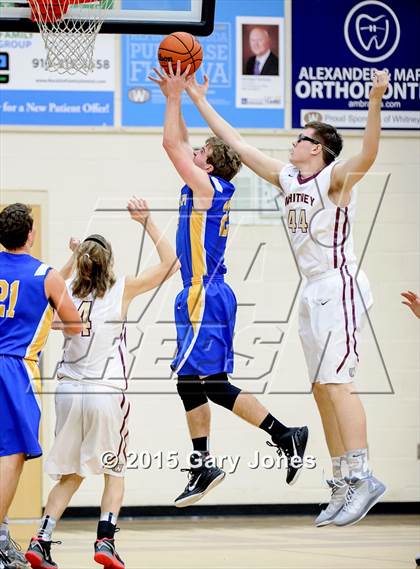 Thumbnail 3 in Del Campo @ Whitney photogallery.