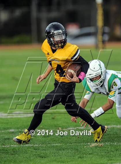 Thumbnail 3 in St. Joseph @ Cabrillo photogallery.