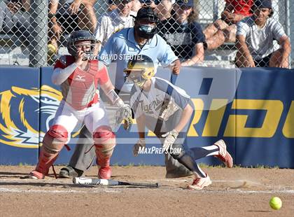 Thumbnail 1 in McClatchy @ Inderkum photogallery.