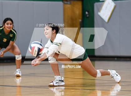 Thumbnail 3 in Harlandale @ McCollum photogallery.