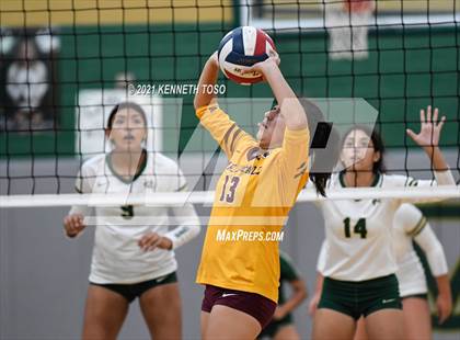 Thumbnail 2 in Harlandale @ McCollum photogallery.