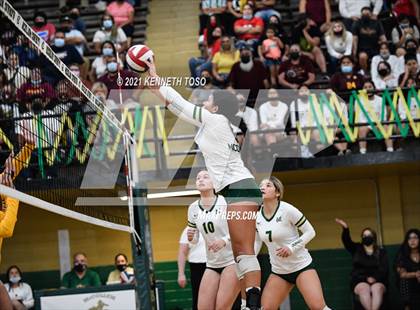 Thumbnail 3 in Harlandale @ McCollum photogallery.