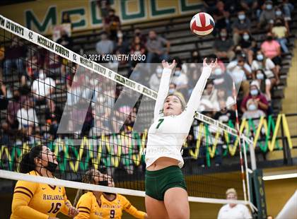Thumbnail 2 in Harlandale @ McCollum photogallery.