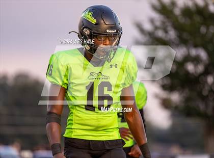 Thumbnail 2 in Lake Cormorant @ DeSoto Central photogallery.