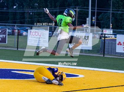 Thumbnail 1 in Lake Cormorant @ DeSoto Central photogallery.