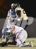 Photo from the gallery "A.C. Flora @ Camden"