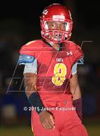 Photo from the gallery "Los Altos @ Wilson"