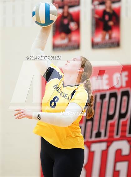 Thumbnail 3 in Port Huron Northern @ Chippewa Valley photogallery.