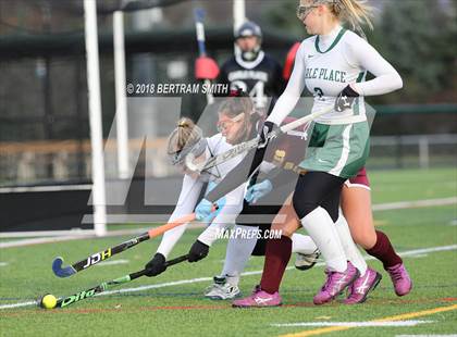 Thumbnail 3 in Whitney Point vs. Carle Place (NYSPHSAA Class C Final) photogallery.