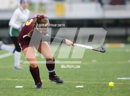 Thumbnail 1 in Whitney Point vs. Carle Place (NYSPHSAA Class C Final) photogallery.