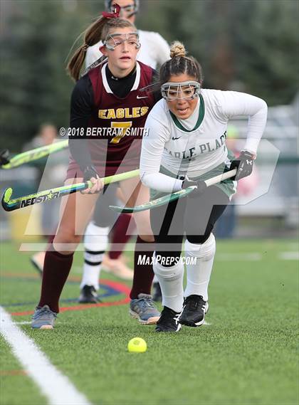 Thumbnail 2 in Whitney Point vs. Carle Place (NYSPHSAA Class C Final) photogallery.