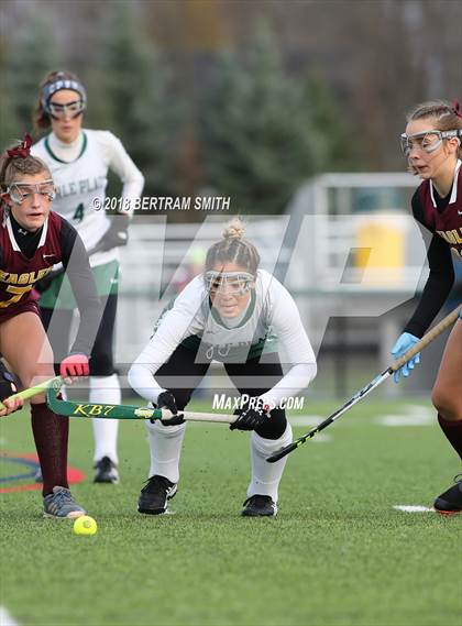 Thumbnail 1 in Whitney Point vs. Carle Place (NYSPHSAA Class C Final) photogallery.
