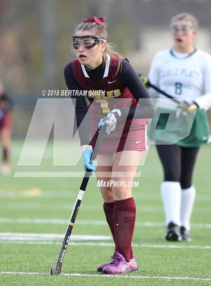 Thumbnail 1 in Whitney Point vs. Carle Place (NYSPHSAA Class C Final) photogallery.