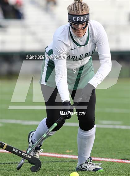 Thumbnail 3 in Whitney Point vs. Carle Place (NYSPHSAA Class C Final) photogallery.