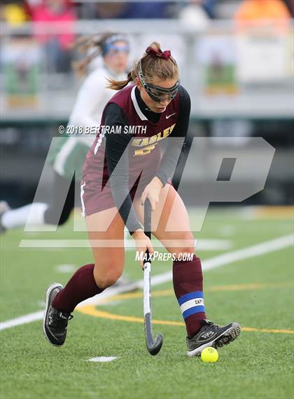 Thumbnail 3 in Whitney Point vs. Carle Place (NYSPHSAA Class C Final) photogallery.